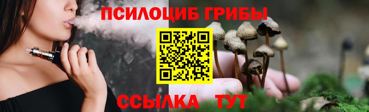 Псилоцибиновые грибы Psilocybine cubensis  Вход с VPN  Дубна 